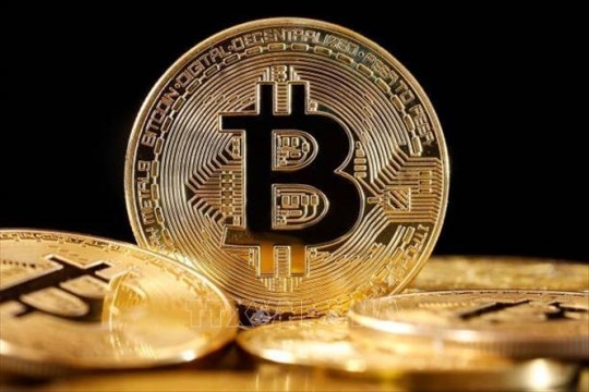 Bitcoin tiếp tục phi mã, lần đầu vượt mốc 95.000 USD