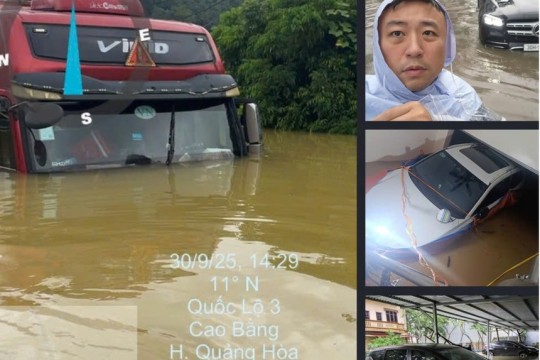 Bảo hiểm BSH ghi nhận hơn 400 vụ tổn thất sau cơn bão số 10