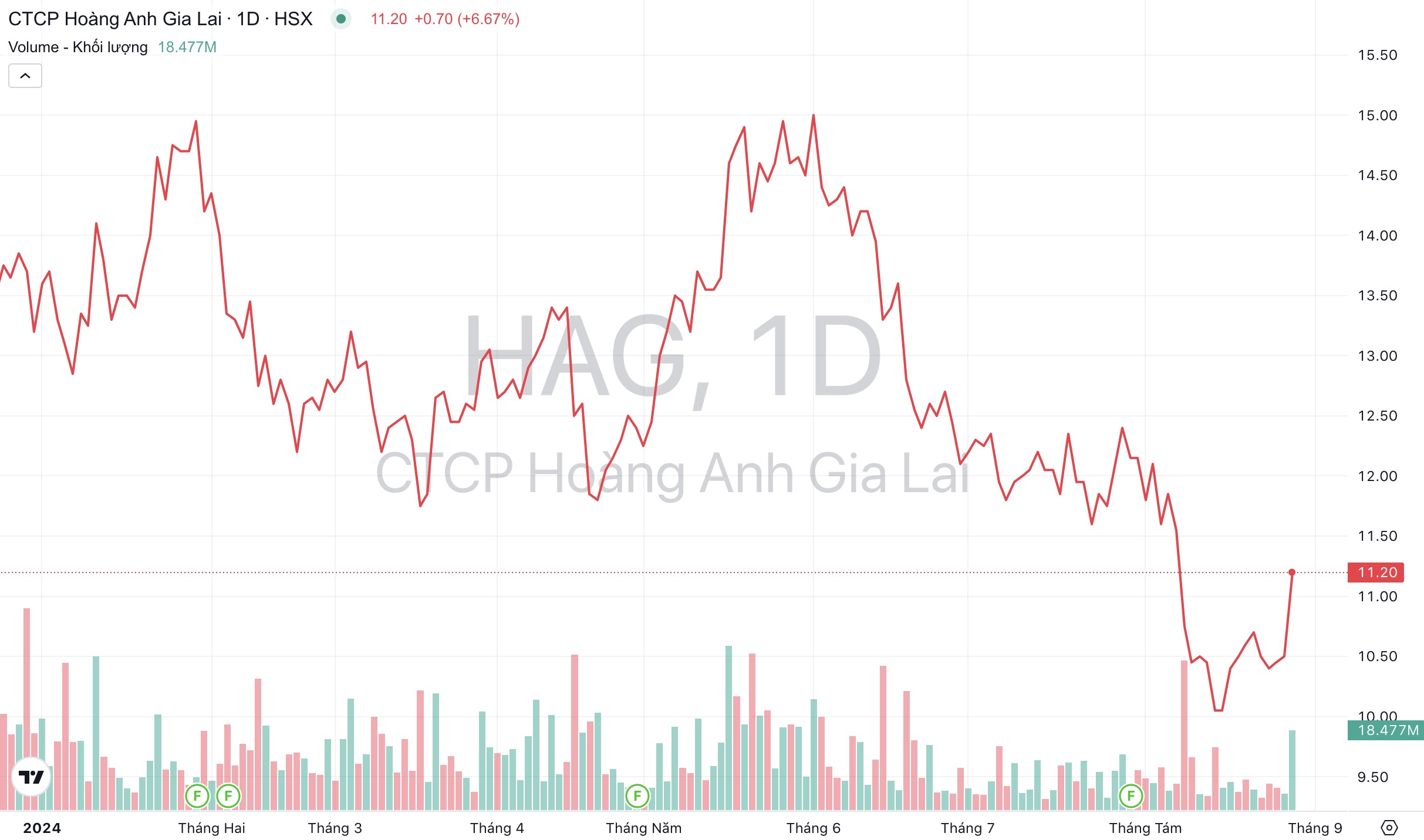 hoang-anh-gia-lai--hag-dien-tich-sau-rieng-thu-hoach-nam-nay-cao-gap-10-lan-nam-2023_66ceb9ec65d36