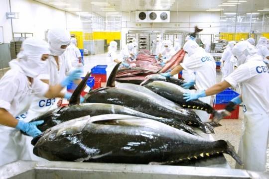 Thủ tướng chỉ đạo tháo gỡ khó khăn cho xuất khẩu cà phê và cá ngừ