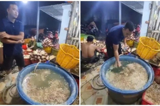TP Hồ Chí Minh: Phát hiện 3 cơ sở ngâm hoa chuối với hàn the, chất tẩy trắng