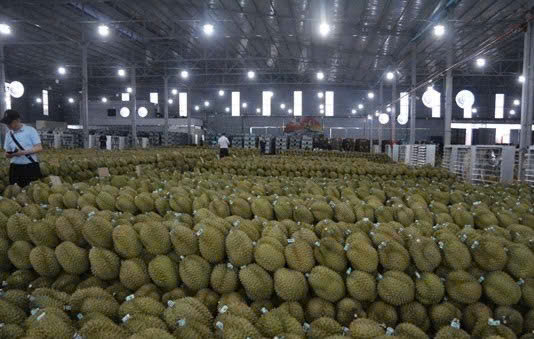 z7218281382549_5e322dbe3dfb08c14f41d95636ef161a